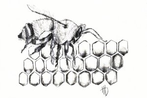 HoneyBeeFinal